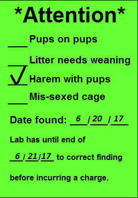 Green notice detailing corrective actions needed: “Pups on pups,” “Litter needs weaning,” “Harem with pups,” “Mis-sexed cage.” Found on 6/20/17; deadline 6/21/17 to avoid charge.