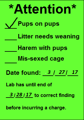 Alert notice listing animal care issues with checkboxes: "Pups on pups" checked, others unchecked. Date found 3/27/17. Lab deadline 3/28/17 to address issues to avoid charges.