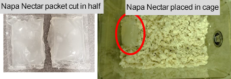 Two images: Left shows a Napa Nectar packet cut in half. Right shows Napa Nectar placed inside a cage with bedding.