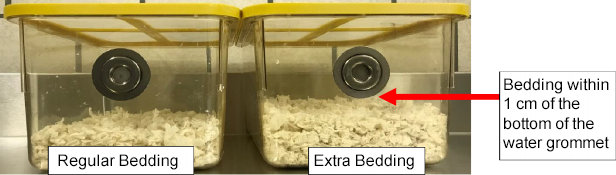Two containers with bedding labeled "Regular Bedding" and "Extra Bedding." The extra bedding is within 1 cm of the water grommet bottom, highlighted by an arrow and text.