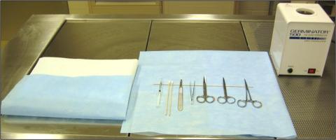 Surgical instruments arranged on a blue sterile drape beside folded sterile cloths and a Germinator 500 sterilization unit, all placed on a metal table.