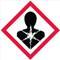 OSHA pictogram of hazard sign reflecting carcinogenecity with a red diamond frame, a human siluette, and a white spot in the middle of the chest