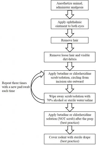 Surgical Prep Flowchart Diagram
