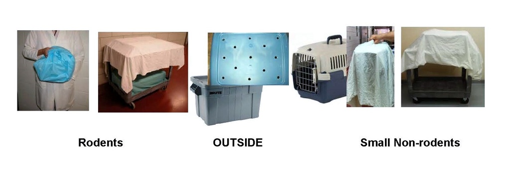 Image showing various animal transport methods. From left to right: a person holding a blue bag labeled 'Rodents', a cart with a covered cage labeled 'Rodents', an outdoor container with ventilation holes labeled 'OUTSIDE', a pet carrier labeled 'OUTSIDE', and two carts with covered cages labeled 'Small Non-rodents'.