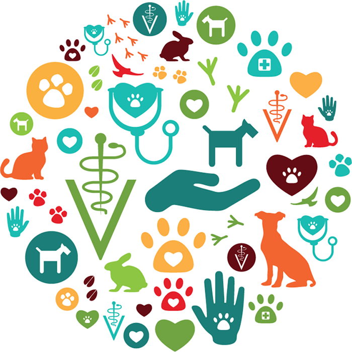 graphic depiction of icons related to animals