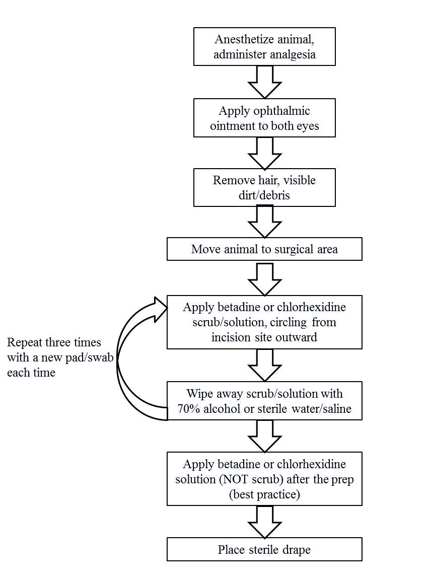 Flow chart of Optimal Surgical Scrub Prep Procedure