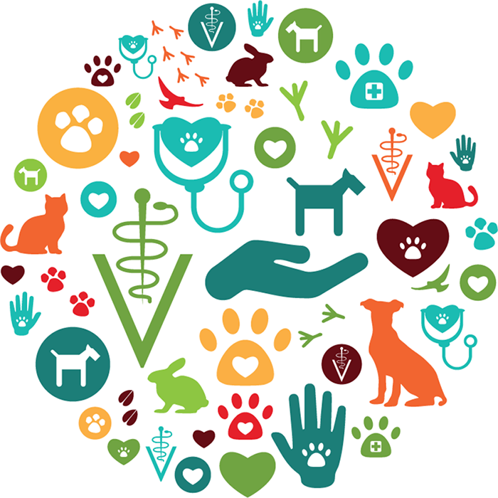 Animal Health section image